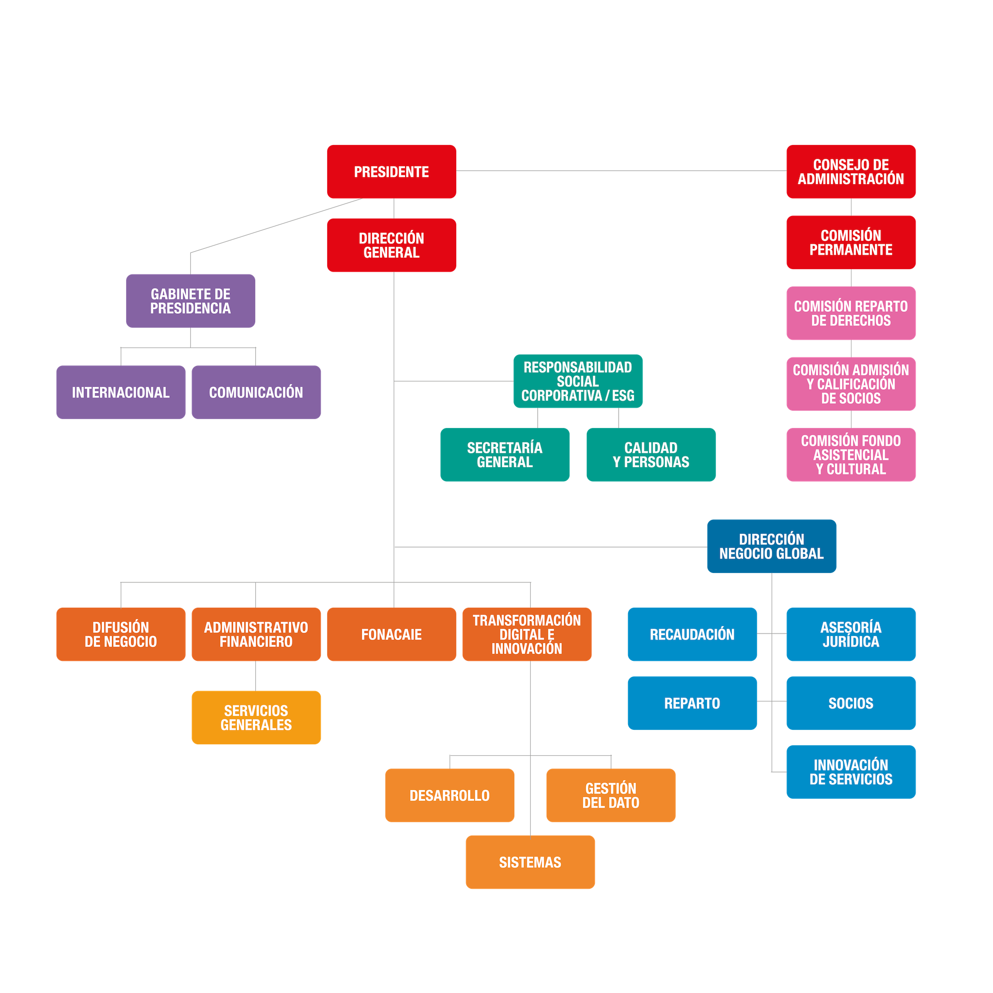 Organigrama para WEB